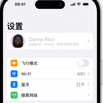 重兴镇appleID维修服务iPhone设置中Apple ID显示为灰色无法使用 