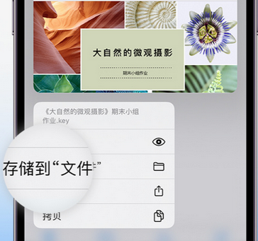 重兴镇apple维修中心分享iPhone文件应用中存储和找到下载文件