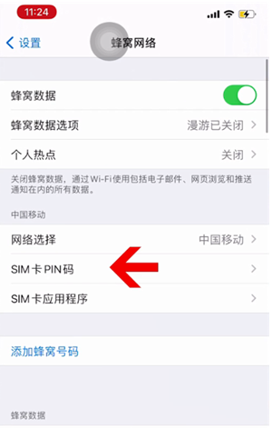 重兴镇苹果14维修网分享如何给iPhone14的SIM卡设置密码 