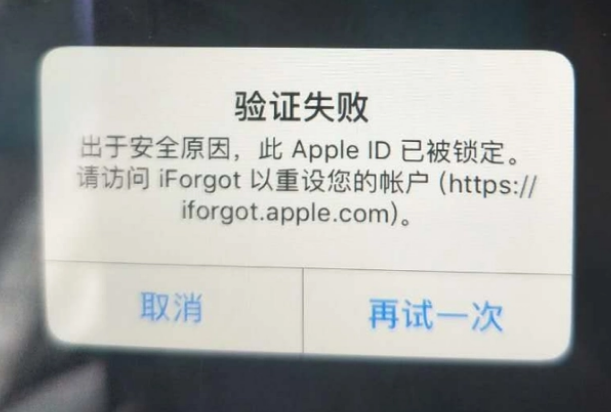 重兴镇iPhone维修分享iPhone上正常登录或使用AppleID怎么办 