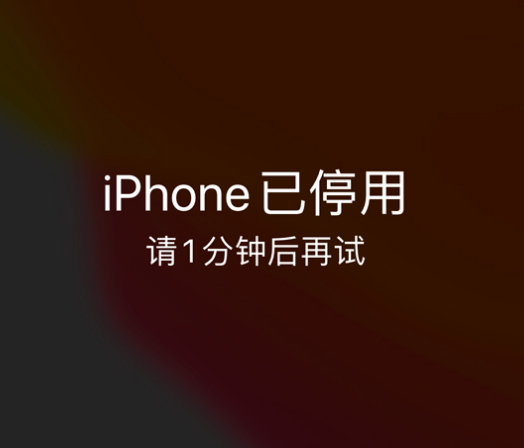 重兴镇苹果手机维修分享:iPhone 显示“不可用”或“已停用”怎么办？还能保留数据吗？ 