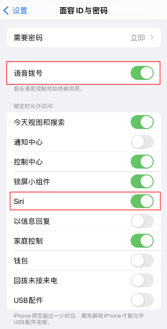 重兴镇苹果维修网点分享不解锁 iPhone 的情况下通过 Siri 拨打电话的方法 