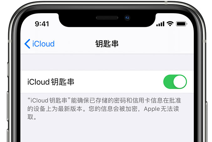 重兴镇苹果手机维修分享在 iPhone 上开启 iCloud 钥匙串之后会储存哪些信息 