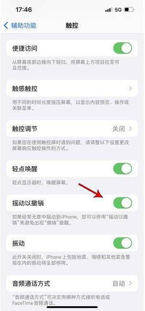 重兴镇苹果手机维修分享iPhone手机如何设置摇一摇删除文字 